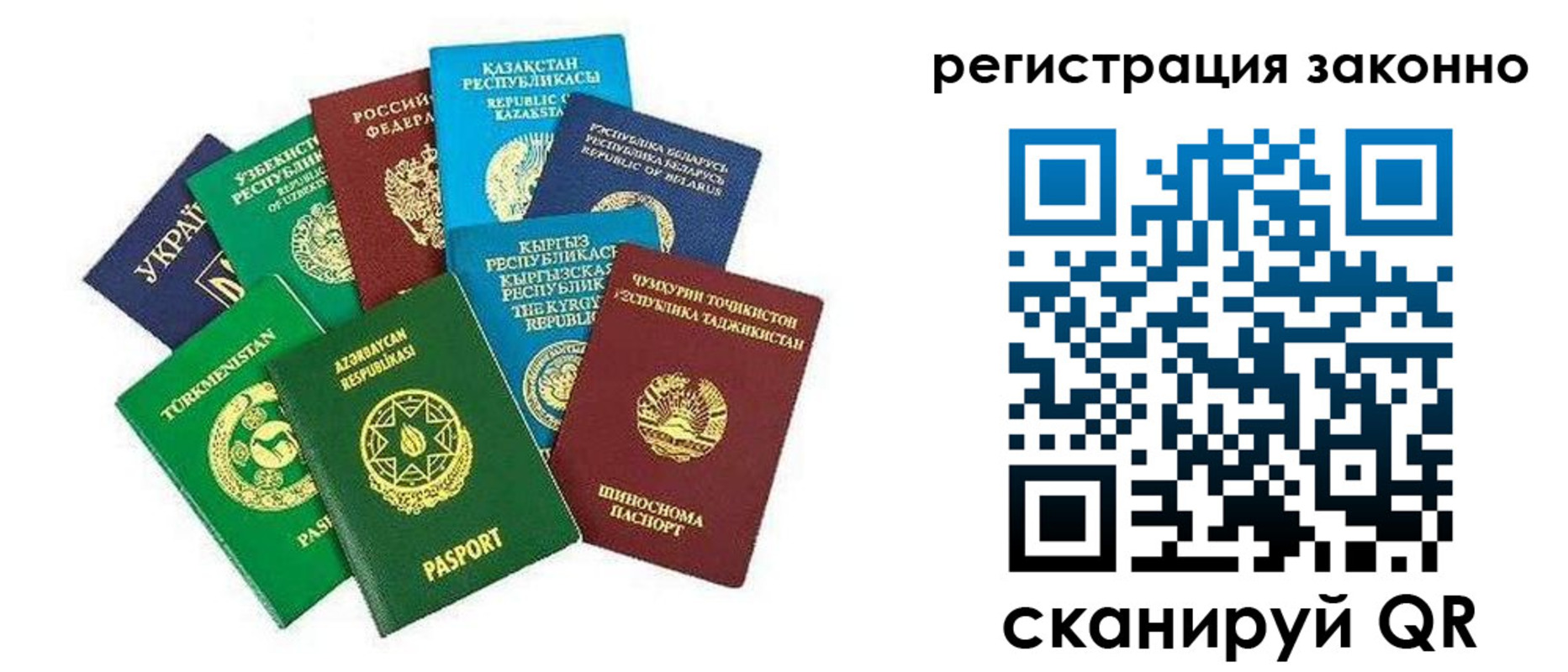временная регистрация поиск в Куровском